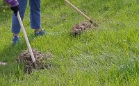 Волгоградцы приняли участие в общегородском субботнике