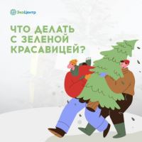 Подарим вторую жизнь новогодним ёлкам