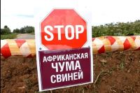 Администрация Ворошиловского района Волгограда информирует о вспышке африканской чумы на территории Волгоградской области