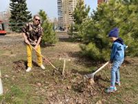 Акция «Папино дерево» 