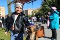 15 октября на территории Дворца культуры Тракторозаводского района прошел благотворительный семейный фестиваль для собак и их хозяев «Лапки-тапки».