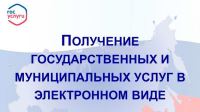 Получение массовых социально значимых услуг в электронном виде