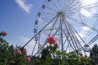В Волгоград доставили ферму 50-метрового колеса обозрения