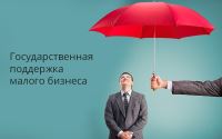 Перечень мер государственной поддержки предпринимательства в Волгоградской области