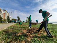 Участники экопроекта «Проросток» сделали «зеленый подарок» жителям микрорайона Тулака