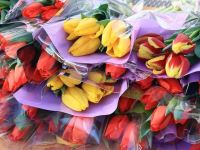 В преддверии Международного женского дня в Волгограде открываются точки по продаже цветов 