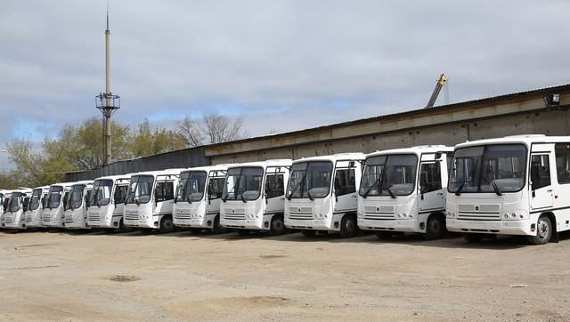 Очередная партия новых автобусов средней вместимости вышла на муниципальные маршруты Волгограда