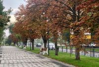 В Краснооктябрьском районе завершена реконструкция бульварной зоны вдоль ул. Титова 