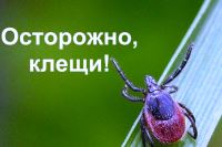 Осторожно КЛЕЩИ