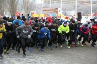 Участниками Всероссийского легкоатлетического пробега, посвященного 76-й годовщине Победы в Сталинградской битве, стали порядка 700 человек