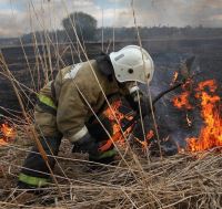 ВНИМАНИЕ ВСЕМ! на территории Волгоградской области установлен особый противопожарный режим