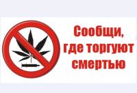 В Волгоградской области стартовала Всероссийская акция «Сообщи, где торгуют смертью»
