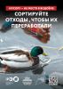 Seria 9 animal poster _A2_2.jpg