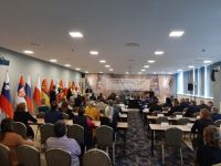 Волгоград избран президентом Международной ассоциации городов-посланцев мира
