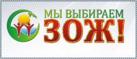 Субъектами системы профилактики Дзержинского района Волгограда в лице специалистов волонтерского центра «Перекресток» Екатерины и Дмитрия проведена интеллектуальная игра «Стиль жизни» для учащихся МОУ «Лицей № 7 Дзержинского района Волгограда».