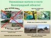 О сути реформы системы обращения с твердыми коммунальными отходами